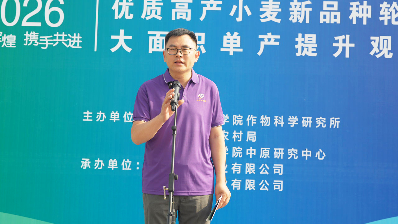 C3401T01.JPG