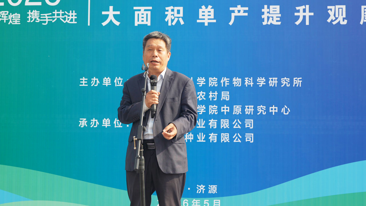 C3407T01.JPG