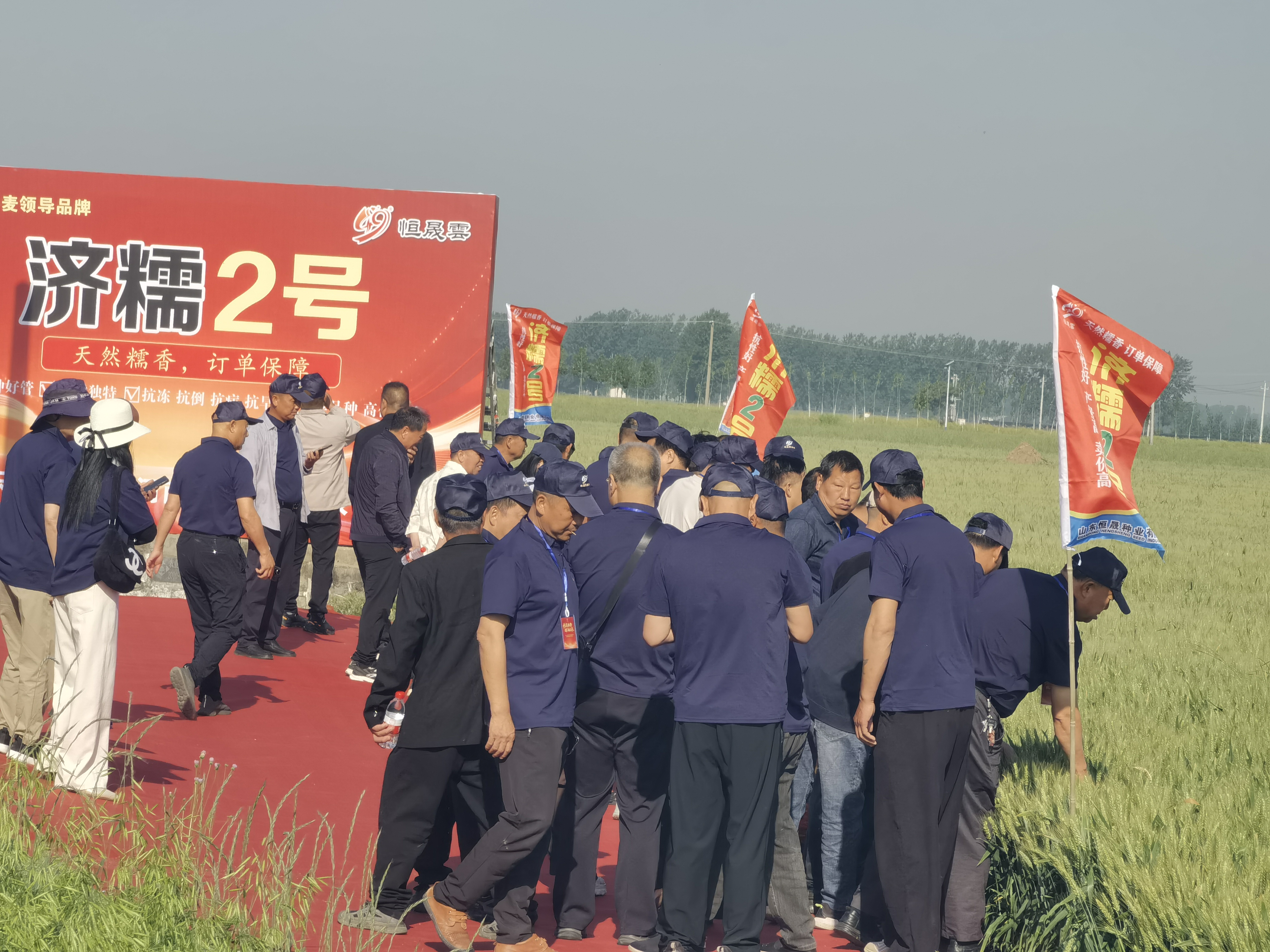微信图片_20260512101637_1214_6.jpg